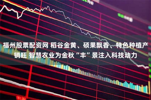 福州股票配资网 稻谷金黄、硕果飘香、特色种植产销旺 智慧农业为金秋“丰”景注入科技动力